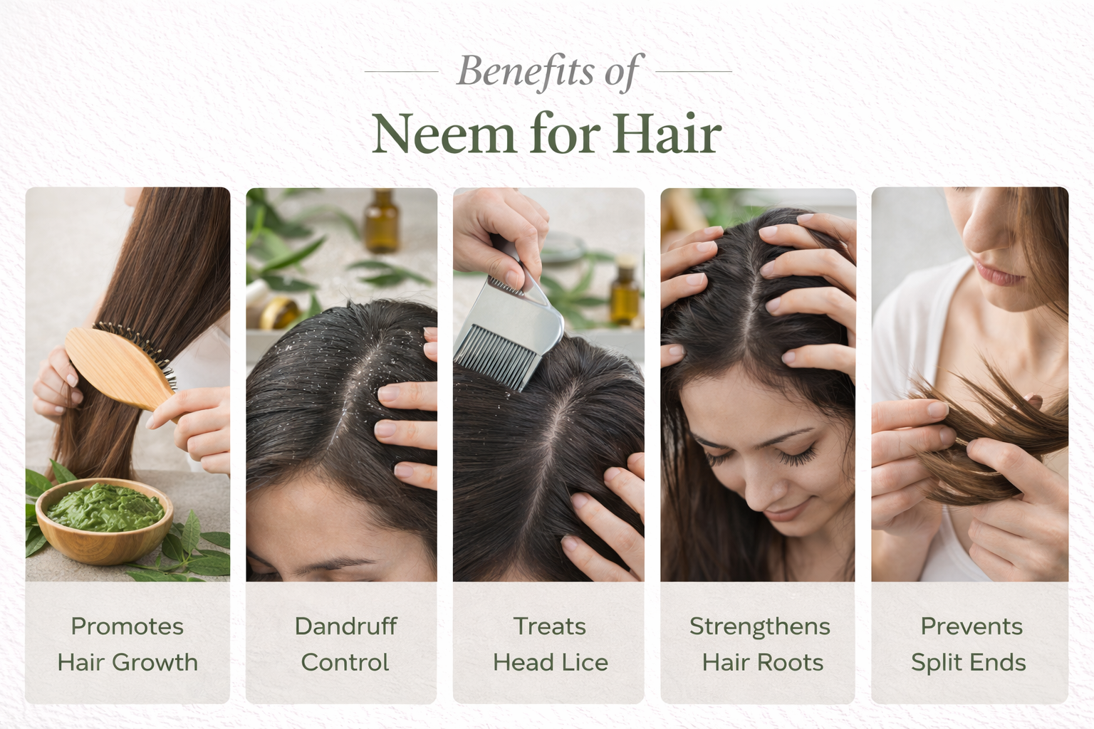 Benefits of Neem for Hair