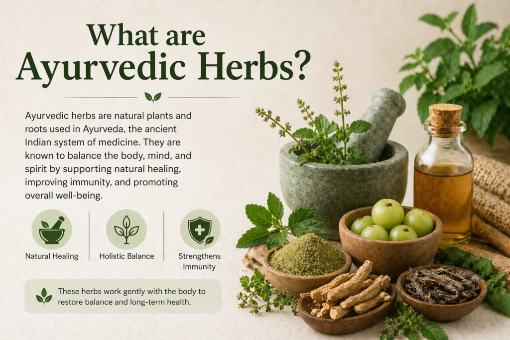 10 Powerful Ayurvedic Herbs Benefits for Health & Wellness