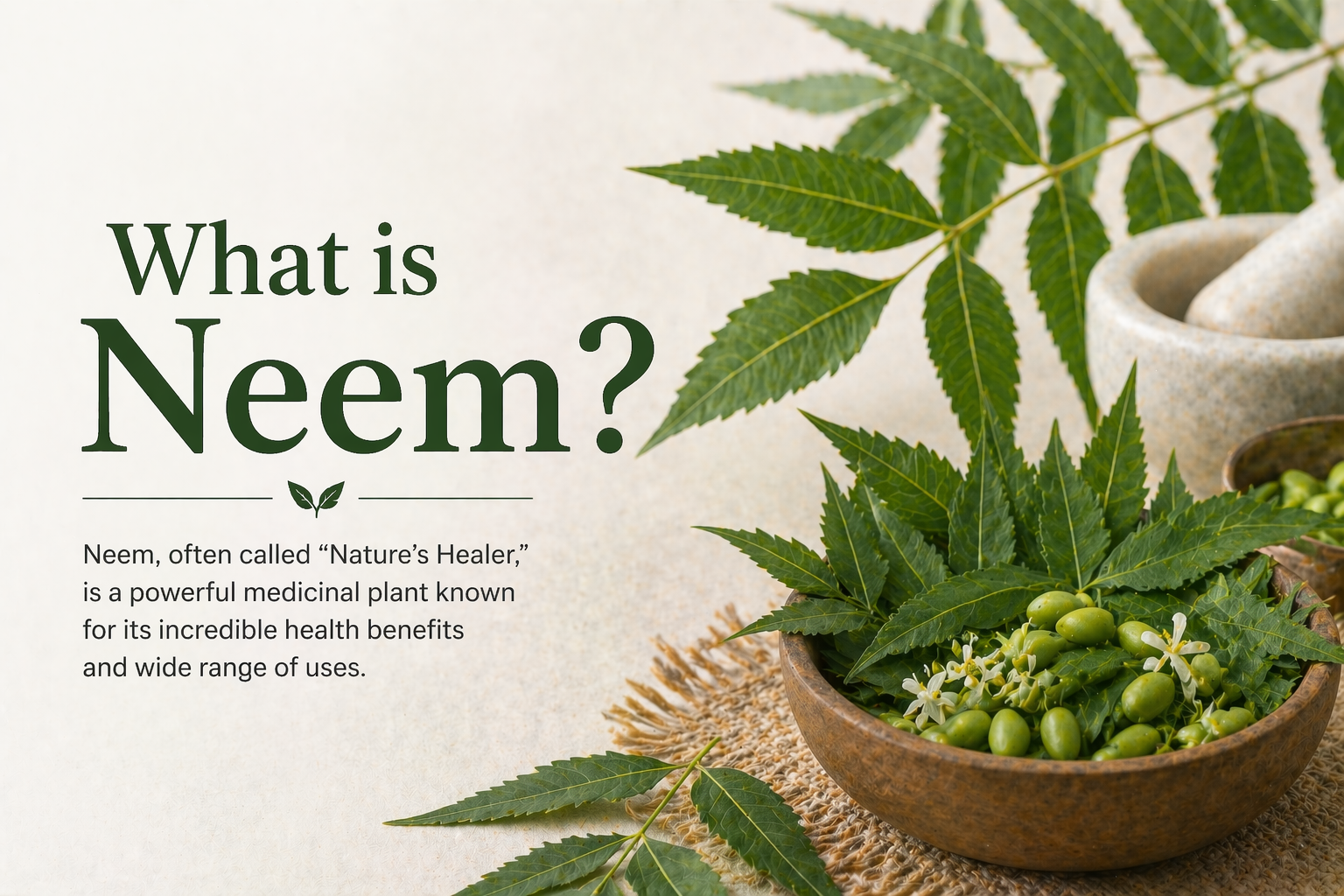 What is Neem?