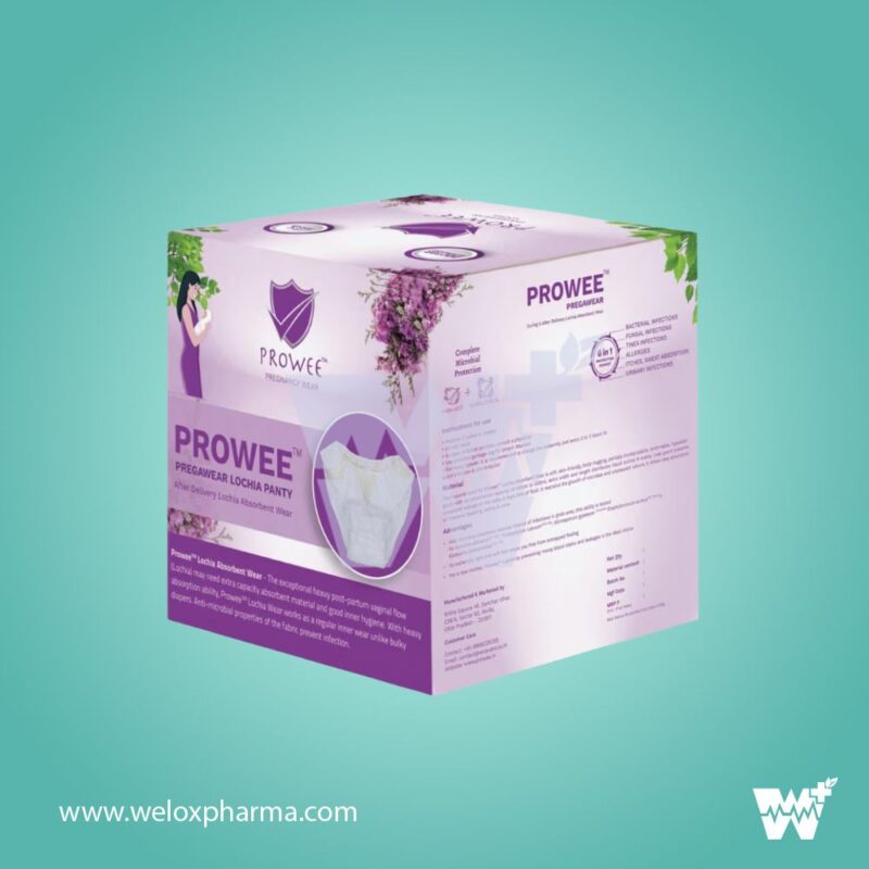 Prowee Pregawear Pregnancy Lochia Discharge Panty - Image 2