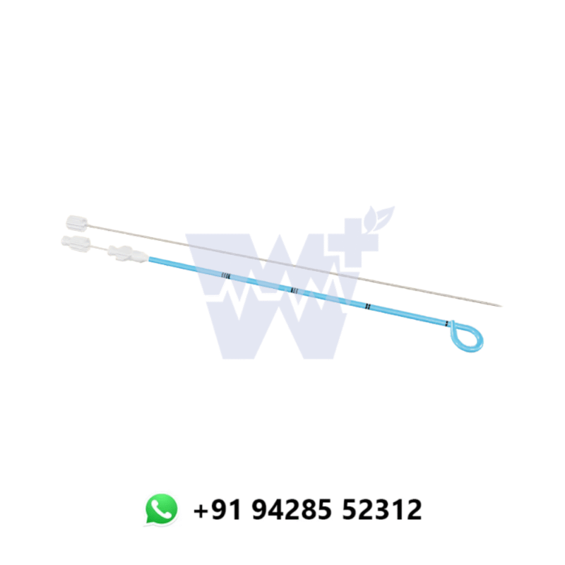 Blueneem PCN Catheter