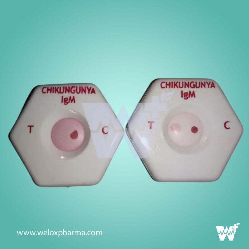 Bhat Bio-Scan Chikungunya IgM Spot Card - Image 2