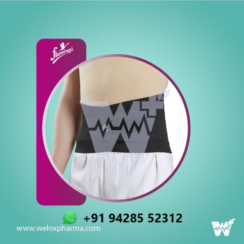 Flamingo Lumbar Corset Belt - Image 2