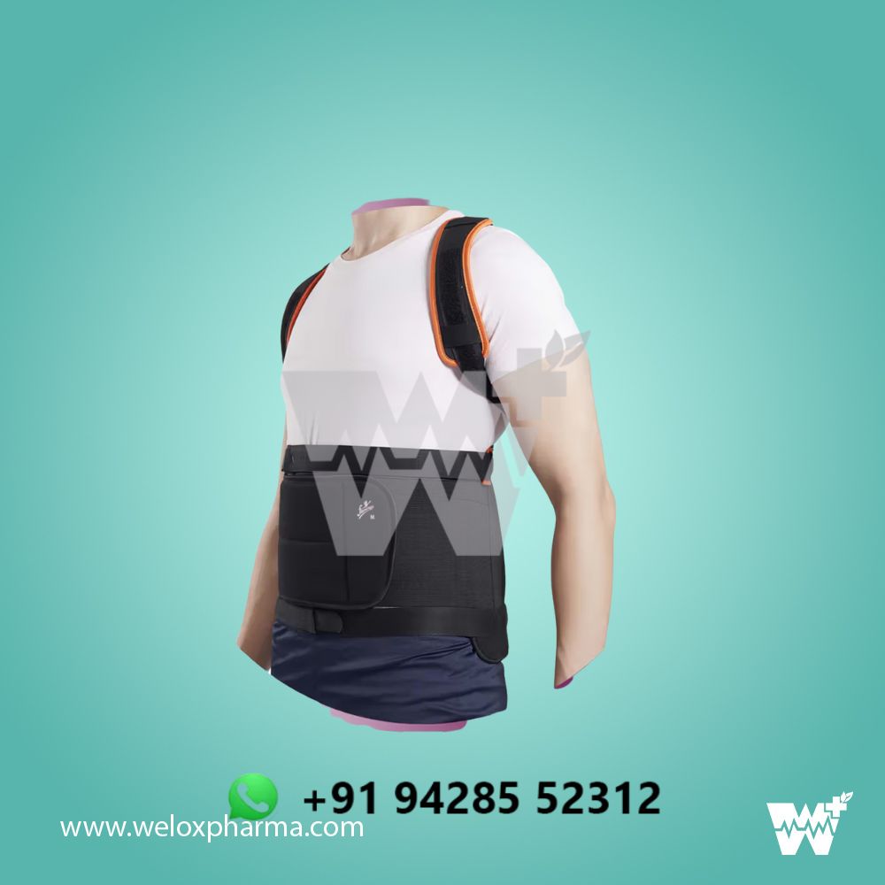 Flamingo Dorsolumbar Spinal Brace - Image 2