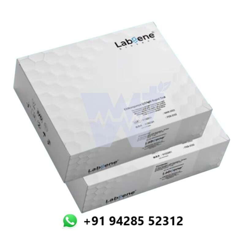 Labgene Chikungunya IgG/IgM Rapid Card - Image 3