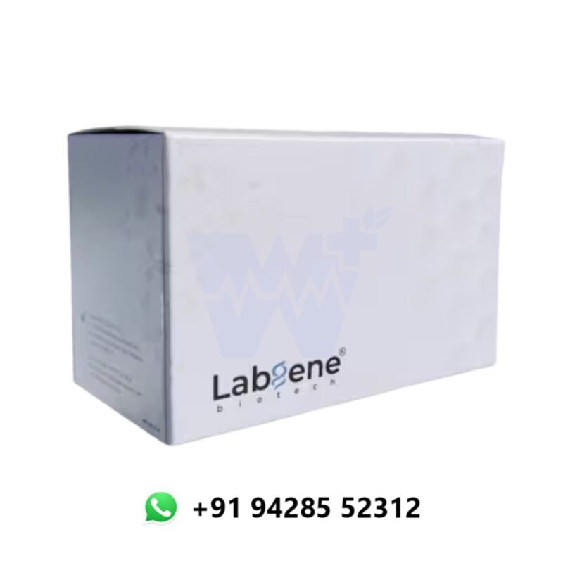 Labgene Malaria Pf/Pv Ag Rapid Card - Image 3