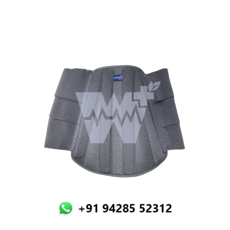 Dyna DS Back Support - Image 3