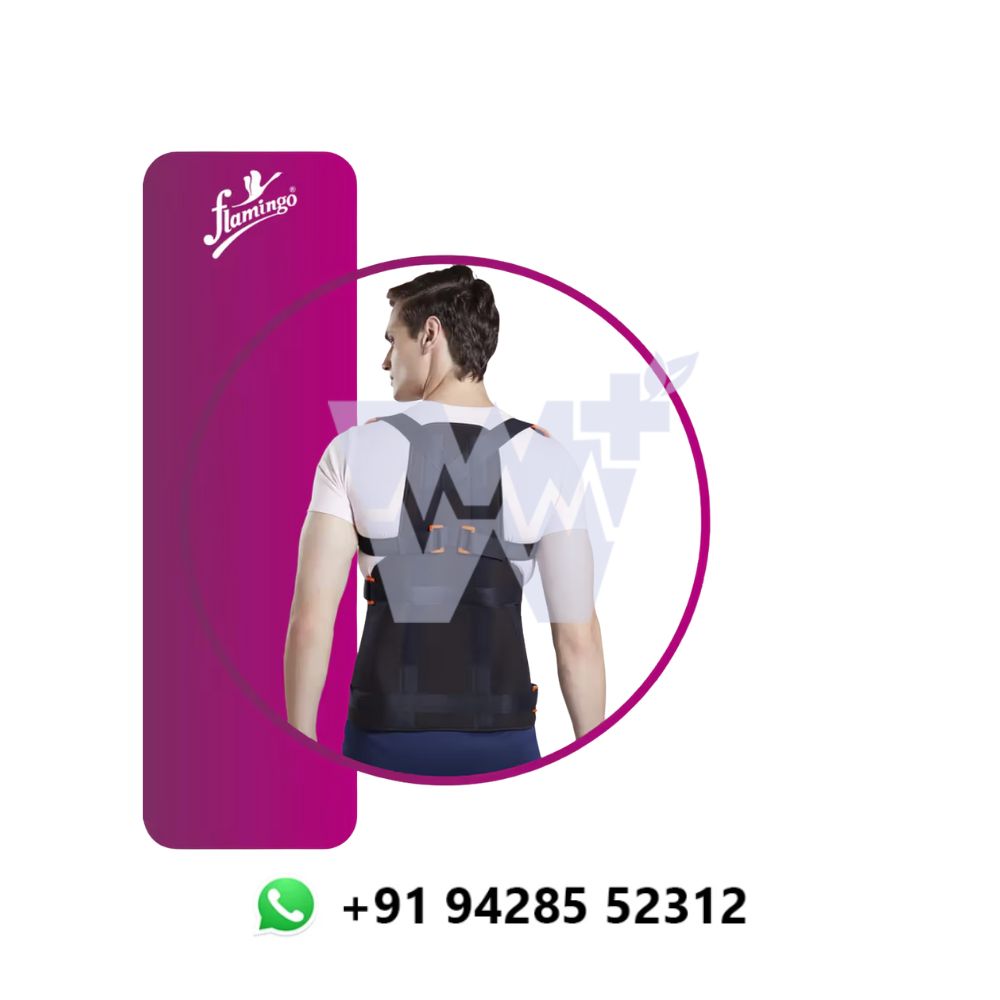 Flamingo Dorsolumbar Spinal Brace - Image 3